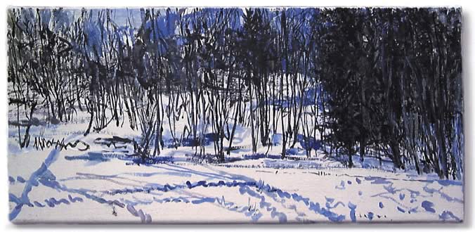 Winter, Damtschach