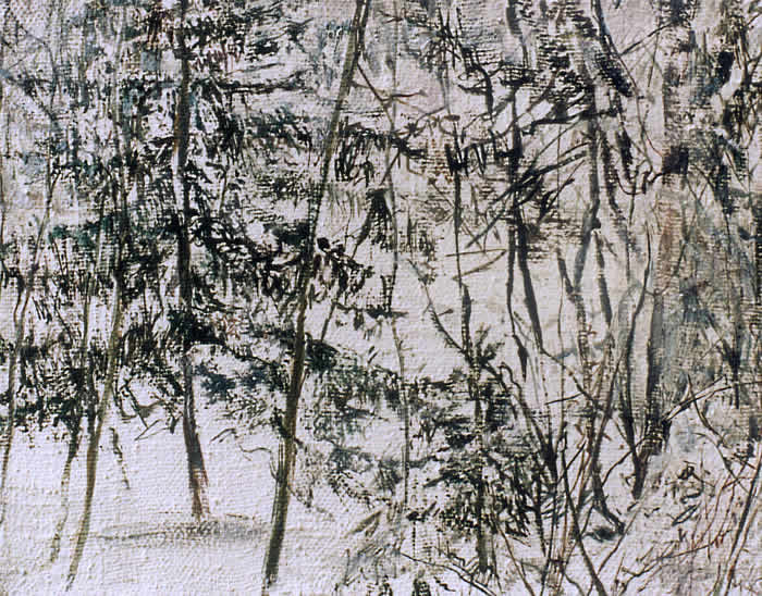 Winter, Damtschach